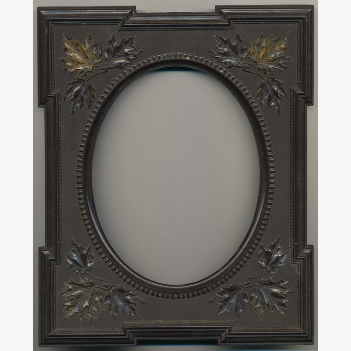 Half Plate Thermoplastic Wall Mount Frame